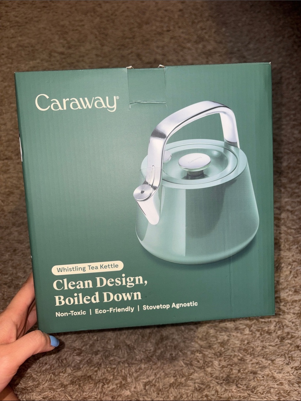 Caraway Green Whistling Tea Kettle – Stylish Stovetop Kettle